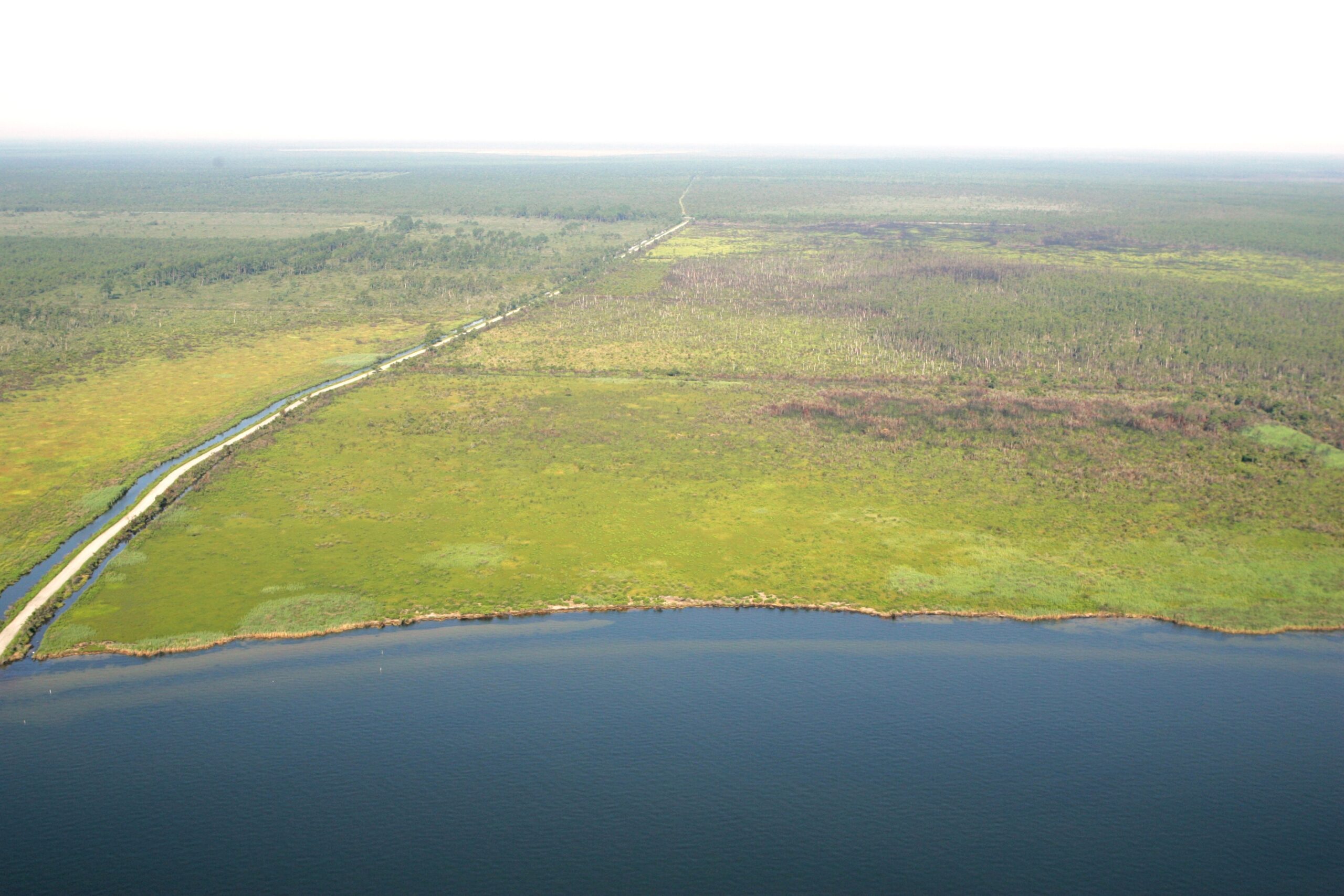 Alligator River